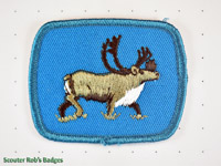 Click to enlarge Caribou